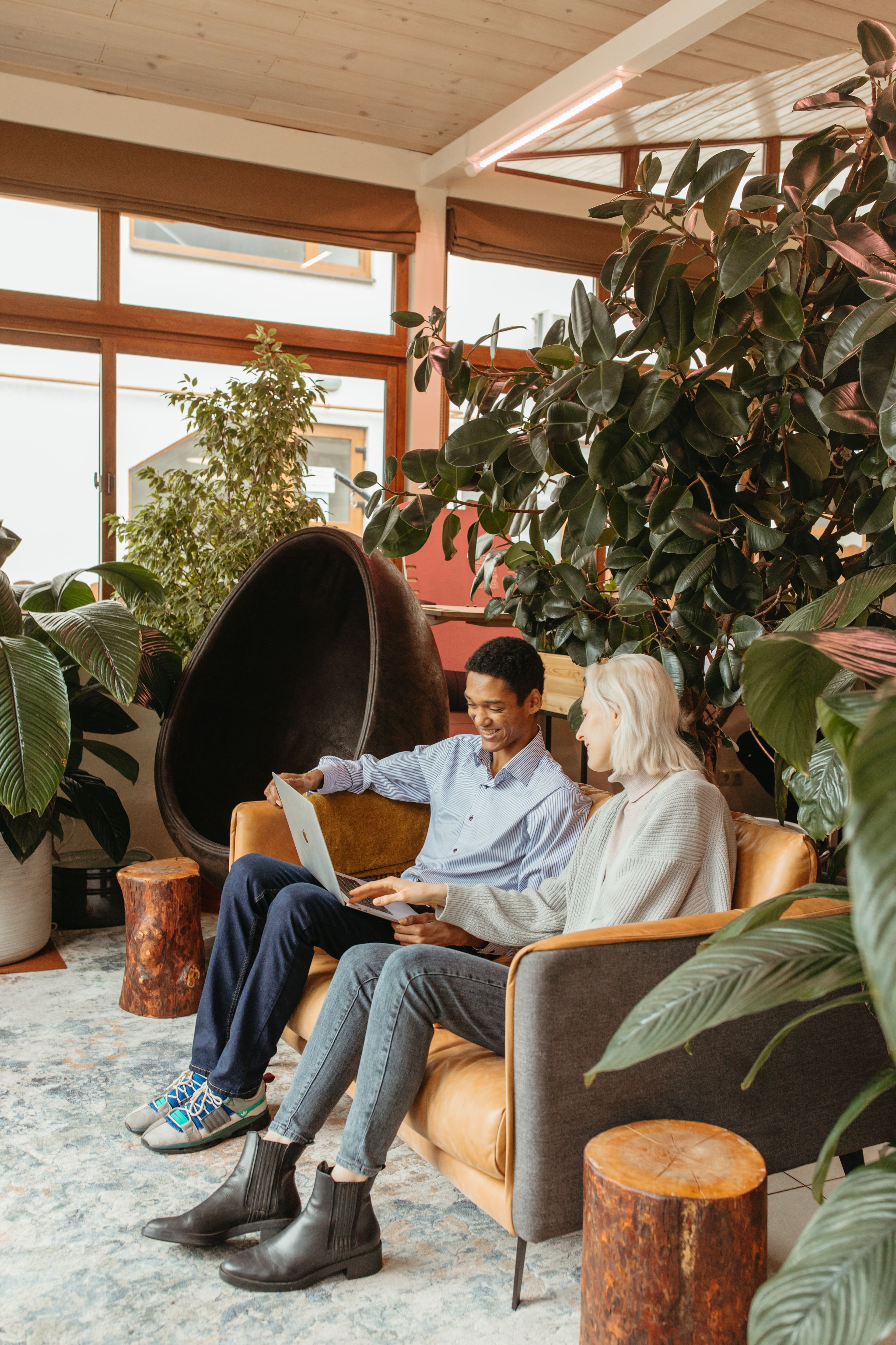 Two people collaborating on a laptop in a warm, plant-filled studio